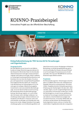 KOINNO-Anbieter-Praxisbeispiel von TEK-Service