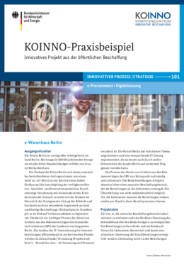 KOINNO-Praxisbeispiel: E-Warenhaus Berlin