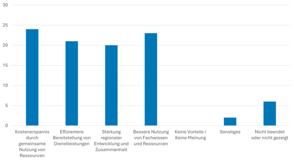 Welche Vorteile sehen Sie in der interkommunalen Zusammenarbeit?