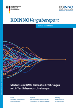 Vergabereport Startups & KMU 2025