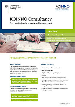 KOINNO Infosheet Beratung englisch