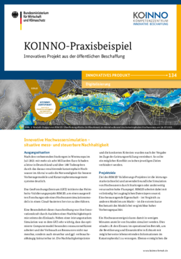 Innovative Hochwassersimulation – situative mess- und steuerbare Nachhaltigkeit